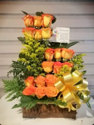 Arreglo floral de 18 rosas bicolores primavera en base de tronco Bosa R47 - Floristería en Bosa Te Mando Flores.